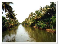 Cochin Travel, Cochin Holidays Vacation